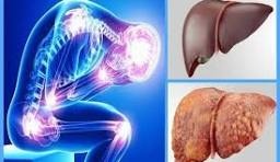 چگونه متوجه نارسایی کبد شویم؟