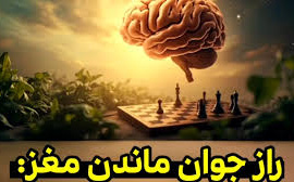 ۸ عادت ساده برای جوانی حافظه تا پس از ۷۰ سالگی