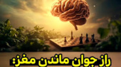 ۸ عادت ساده برای جوانی حافظه تا پس از ۷۰ سالگی