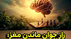 ۸ عادت ساده برای جوانی حافظه تا پس از ۷۰ سالگی
