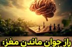 ۸ عادت ساده برای جوانی حافظه تا پس از ۷۰ سالگی