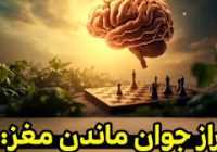 ۸ عادت ساده برای جوانی حافظه تا پس از ۷۰ سالگی